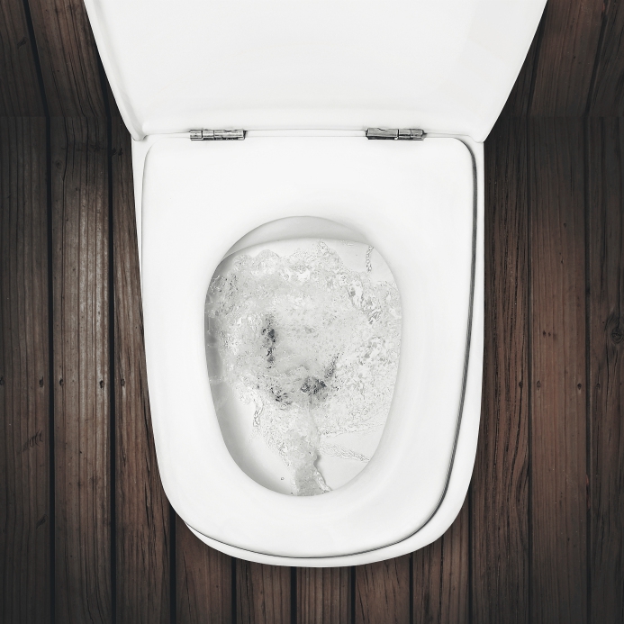 a flush toilet on wood floor
