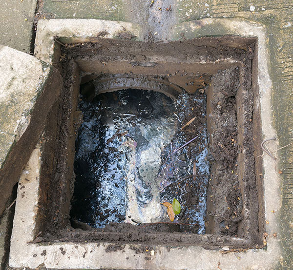 Drains: How to Prevent and Unclog Blocked Drains - The Old Farmer's Almanac